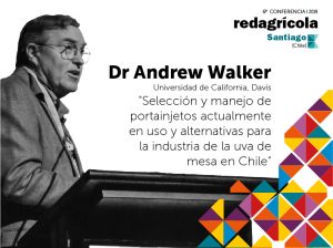 "Selección y manejo de portainjetos actualmente en uso y alternativas para la industria de la uva de mesa en Chile"