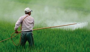 Altos costos en fertilizantes podrían implicar una reducción en la productividad y área sembrada