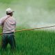 Altos costos en fertilizantes podrían implicar una reducción en la productividad y área sembrada