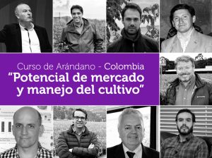 Conoce los temas que se abordarán en el 1er Curso Arándanos Colombia