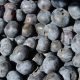 Inka ́s Berries lanza dos nuevas variedades de arándanos que se producen bajo calor