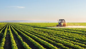 Sudamérica lidera expansión global de áreas cultivadas en últimos veinte años