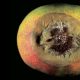 Etiología de las enfermedades poscosecha en mango