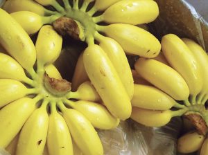 Baby banano, una fruta pequeña con un gran futuro