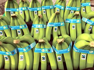 Pronostican un aumento global en los precios del banano por el cambio climático