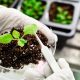 Bioinsumos como extractos vegetales y sustancias bioquímicas no requieren de licencia ambiental