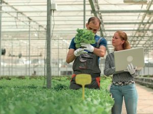 BloomsPal, el software colombiano que hace más eficiente la compra y venta de flores