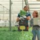 BloomsPal, el software colombiano que hace más eficiente la compra y venta de flores