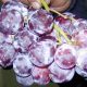 Fitopatólogo advierte sobre el potencial de botrytis para la próxima temporada