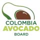 Colombia: crean asociación para promocionar el aguacate Hass en EE UU