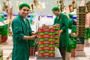 Camet Trading y Westfalia Fruit consolidan una alianza estratégica