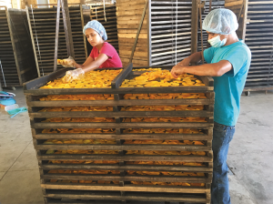 Cuando el negocio está en dar valor agregado a la fruta de descarte