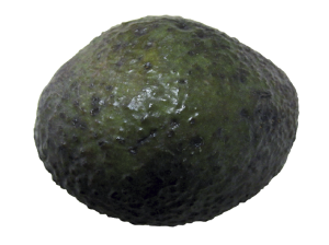 Avocado Sunblotch viroid (ASBVd)