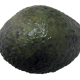 Avocado Sunblotch viroid (ASBVd)