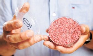 “Los consumidores están pidiendo a gritos nuevas soluciones adaptadas a nuevos estilos de vida”