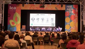 El nuevo ciclo productivo de la uva peruana en la voz de sus protagonistas