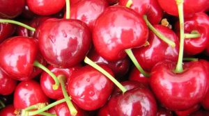 Cereceros reducen en -6,6% estimación de exportaciones para la temporada en curso