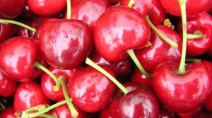 El cerezo sigue renovándose con un atractivo portafolio varietal