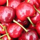 El cerezo sigue renovándose con un atractivo portafolio varietal