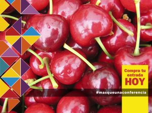 Experto mundial en cerezos estará en Chile