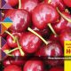 Experto mundial en cerezos estará en Chile
