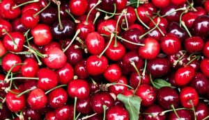 Exportaciones de cerezas chilenas a India suben en 53%