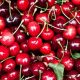 Exportaciones de cerezas chilenas a India suben en 53%