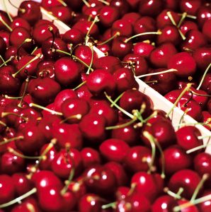 La calidad en destino será motor para dar velocidad a las ventas de cerezas