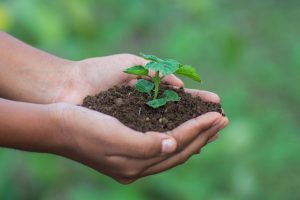 Economía Circular y Sustentabilidad estarán presentes en la Convención Fruittrade 2022