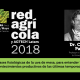 "Bases fisiológicas de la uva d mesa, para entender los acontecimientos productivos de las últimas temporadas"