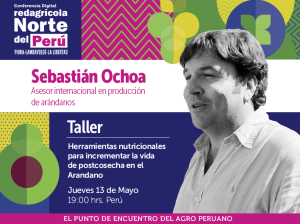 Todo sobre las herramientas nutricionales para extender la vida poscosecha en arándanos en la Conferencia Digital Redagrícola Norte del Perú