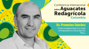 Estrategias de bioestimulación para reducir la baja productividad en huertos de aguacate