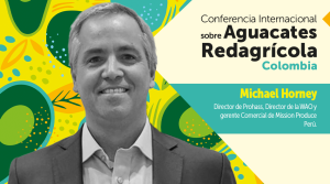 ¿Cómo se mueve el mercado mundial del aguacate?