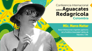 Claves para que la industria del aguacate en Colombia siga avanzando