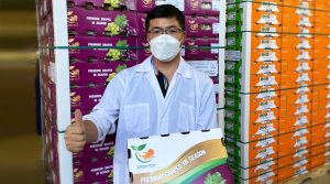 La empresa china que apostó por exportar uva de mesa vía aérea al gigante asiático
