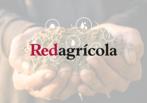 Timorex Gold, el fungicida natural de alto espectro