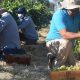 La ruta del vino en el desierto más árido del mundo: el ecosistema que creció gracias a la primera cepa de vino 100% chileno