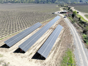 A la vanguardia de la sustentabilidad en viñedos