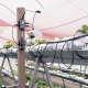 Importancia de la producción de hortalizas bajo condiciones de invernadero