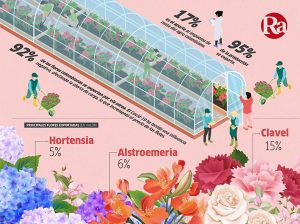 Un país de flores
