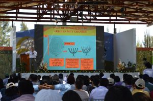 ¿Cómo inducir y controlar la floración en mango?