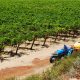 Siagro calienta motores