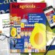 Los nuevos récords del aguacate colombiano protagonizan la última edición local de revista Redagrícola