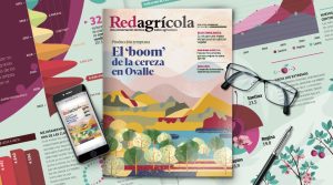 La temporada de cereza que se viene protagoniza nueva edición de Revista Redagrícola