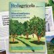 El desarrollo productivo del aguacate en Colombia es foco de nueva edición de Revista Redagrícola