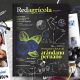 Los récords del arándano peruano protagonizan la nueva edición de revista Redagrícola