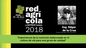 "Importancia de la Nutrición Balanceada en el cultivo de Vid para una gruta de calidad"