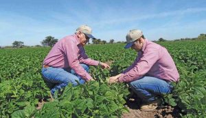 Directores Externos: una pieza clave para la sostenibilidad de las empresas familiares agrícolas