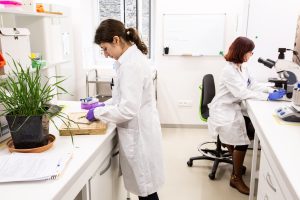 Compañía de agrobiotecnología se adjudica US$8 millones de la Comisión Europea