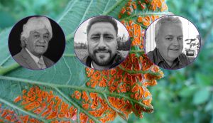 Innovaciones y experiencias en el uso de biológicos para el control de enfermedades